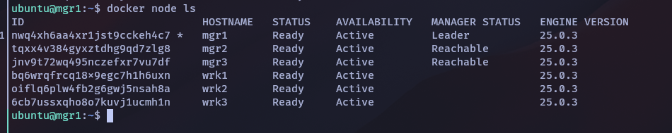 seeing all docker swarm nodes